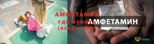 крисы Алексин