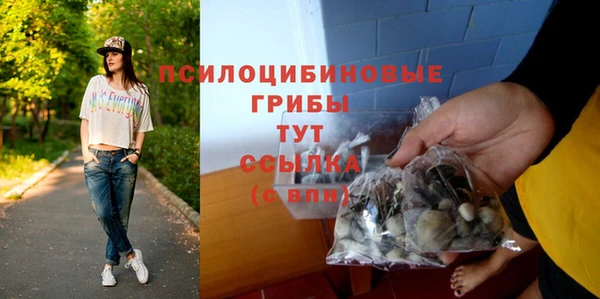бутират Алзамай