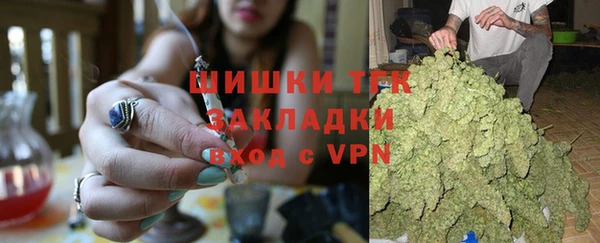 крисы Алексин